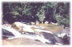 Cachoeiras em Caraguatatuba e Região