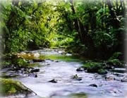 Natureza - Hotel Mar Caraguatatuba