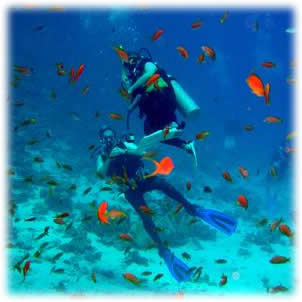 Mergulho Hotel Mar Caraguatatuba