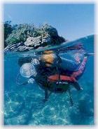 Mergulho - Hotel Mar Caraguatatuba