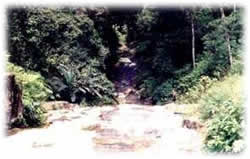 Cachoeira da Serra - Ubatuba - Hotel Mar