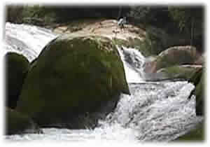 Cachoeira Ipiranguinha Ubatuba - Hotel Mar