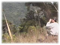 Turismo de Observação - Hotel Mar Caraguatatuba